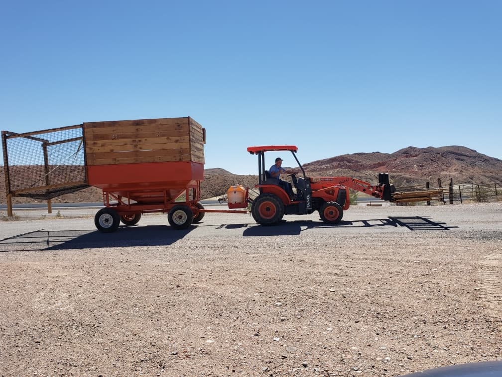 Day Hayride at Moapa Valley Cornmaze